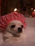 Abena