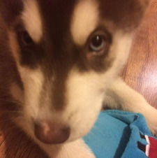 SmuttyPuttyFruity ❣️