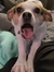 Jessie ...
