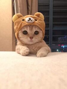 Eda