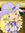 Serena