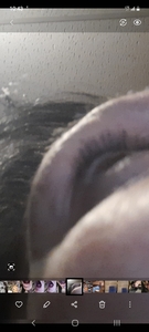 Misse