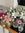 sriya | 1 comments