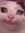 kil
