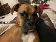 Paige