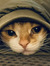 Tom H