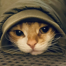 Tom H