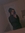 Savie (sav_reads) | 2 comments