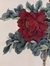 Nour