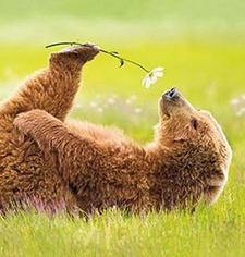 Игорь Мельник