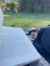 Hassaan