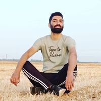 عامر المصري