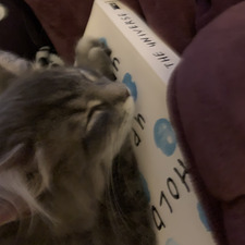cloudylibrary