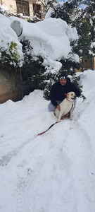 κωστας ψυλλας