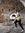 Artyom ...