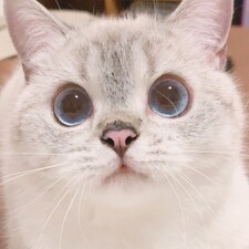 &#x1f940;Aleksandra&#x1f5e1;