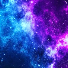 Amy-apiscesbookrealm