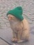 ameba