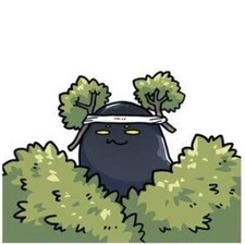 Bao