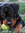 member photo member photo