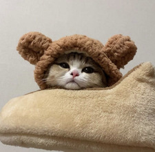 Ана Богдановска