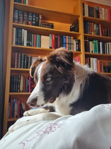 Sebastián