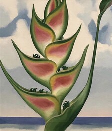 Cacicca15