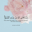 Shahd