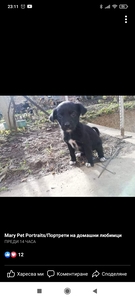 Станислава Щилиянова