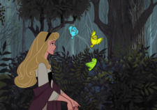 willow