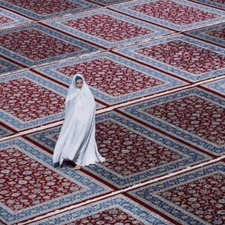 إلفٌ ولُطفٌ. 