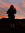 Tanya Cormack | 1 comments