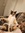 Farren | 2 comments