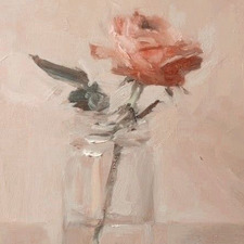 نورة المديد