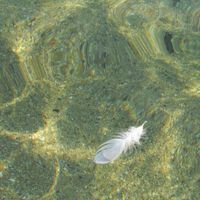 Петра Иванова