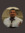 member photo member photo
