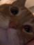 Lilou