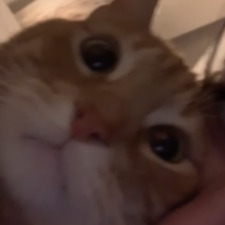 Lilou