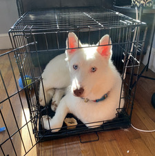 Neo