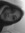 Anelis