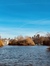 Saule