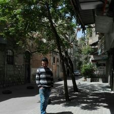 أنس بن محمّد