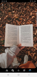 Book devourer  Bella..