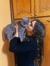 Lavina ...