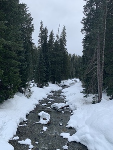 Miranda Gordon-Zigel