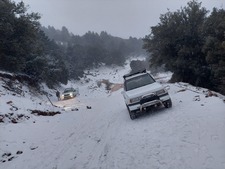 Αλεξανδρος Σπυρου