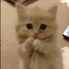 Winky