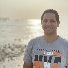 Amir Alaa