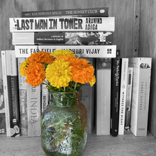 David - marigold_bookshelf