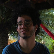 Bruno Araujo